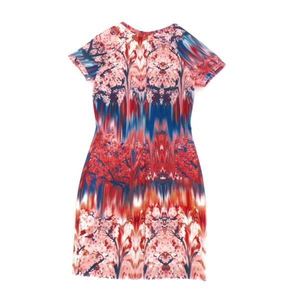 Zara Printed Short Sleeve Stretch Dress - Picture 3 of 5